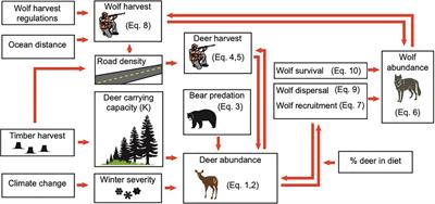 Potential Futures for Coastal Wolves and Their Ecosystem Services in Alaska, With Implications for Management of a Social-Ecological System